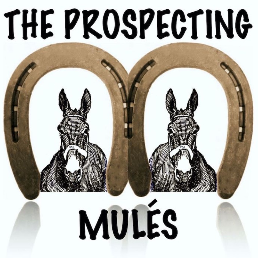 Meet your Posher, The Prospecting Mulés